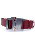 Cobra Classic Collar
