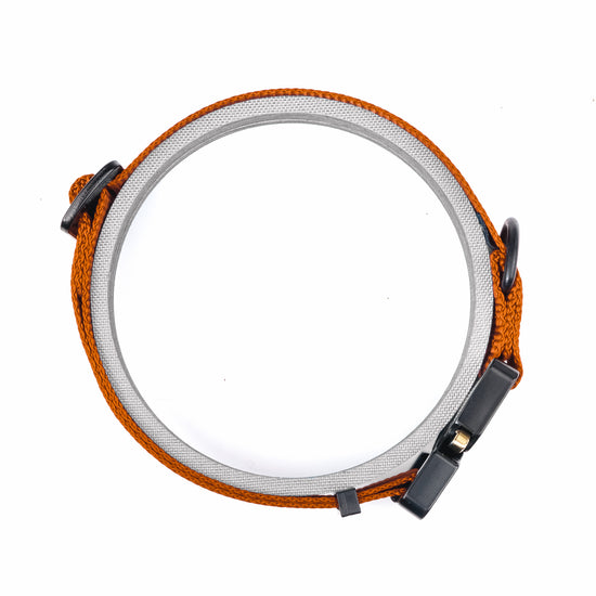 Cobra Classic Collar