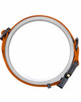 Cobra Classic Collar