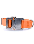 Cobra Classic Collar