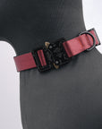 Cobra Classic Collar