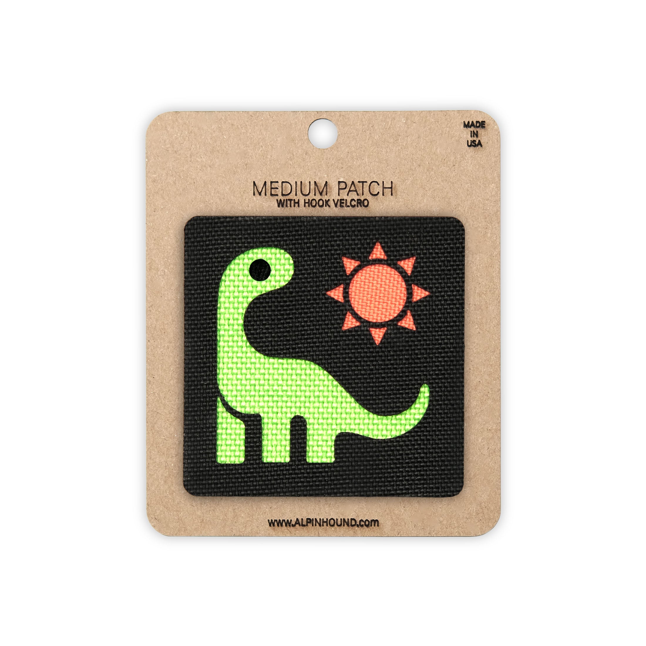 Dinosaur in the Sun Tactical Patch 2X2
