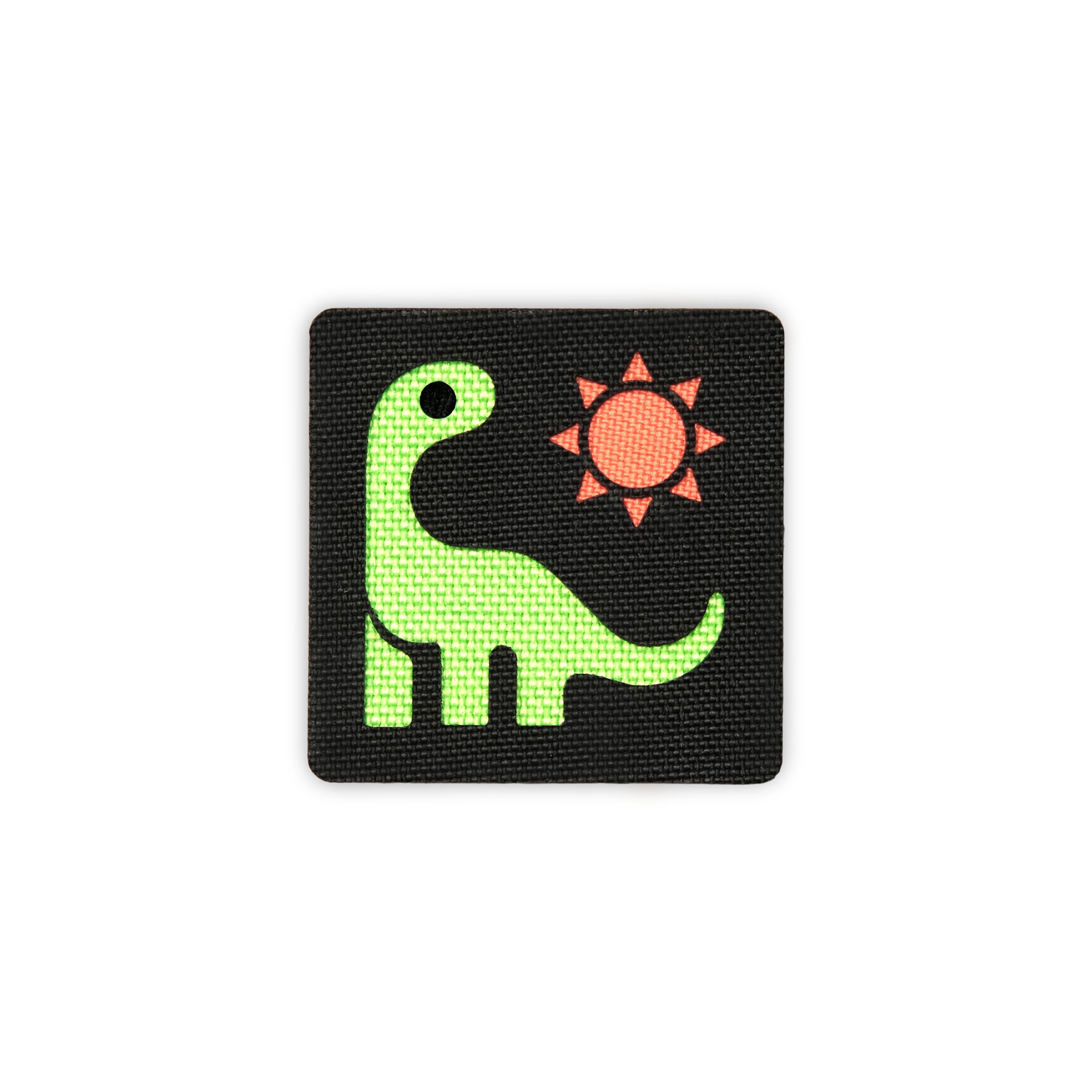 Dinosaur in the Sun Tactical Patch 2X2 Cordura Morale Patch by Alpinhound Supply