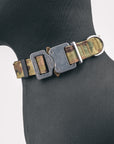 EVO Collar