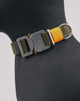 EVO Collar