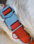 EVO Collar