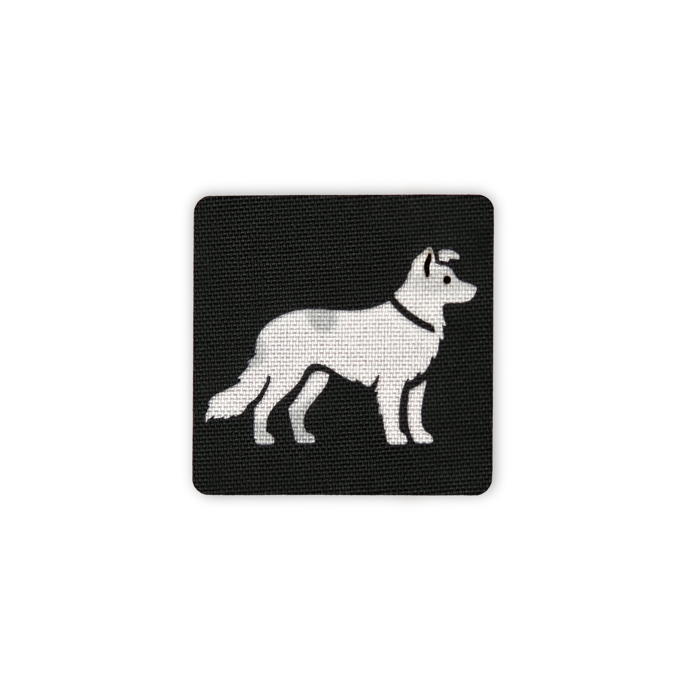 Border Collie 2x2 Cordura Tactical Patch – Hook Back