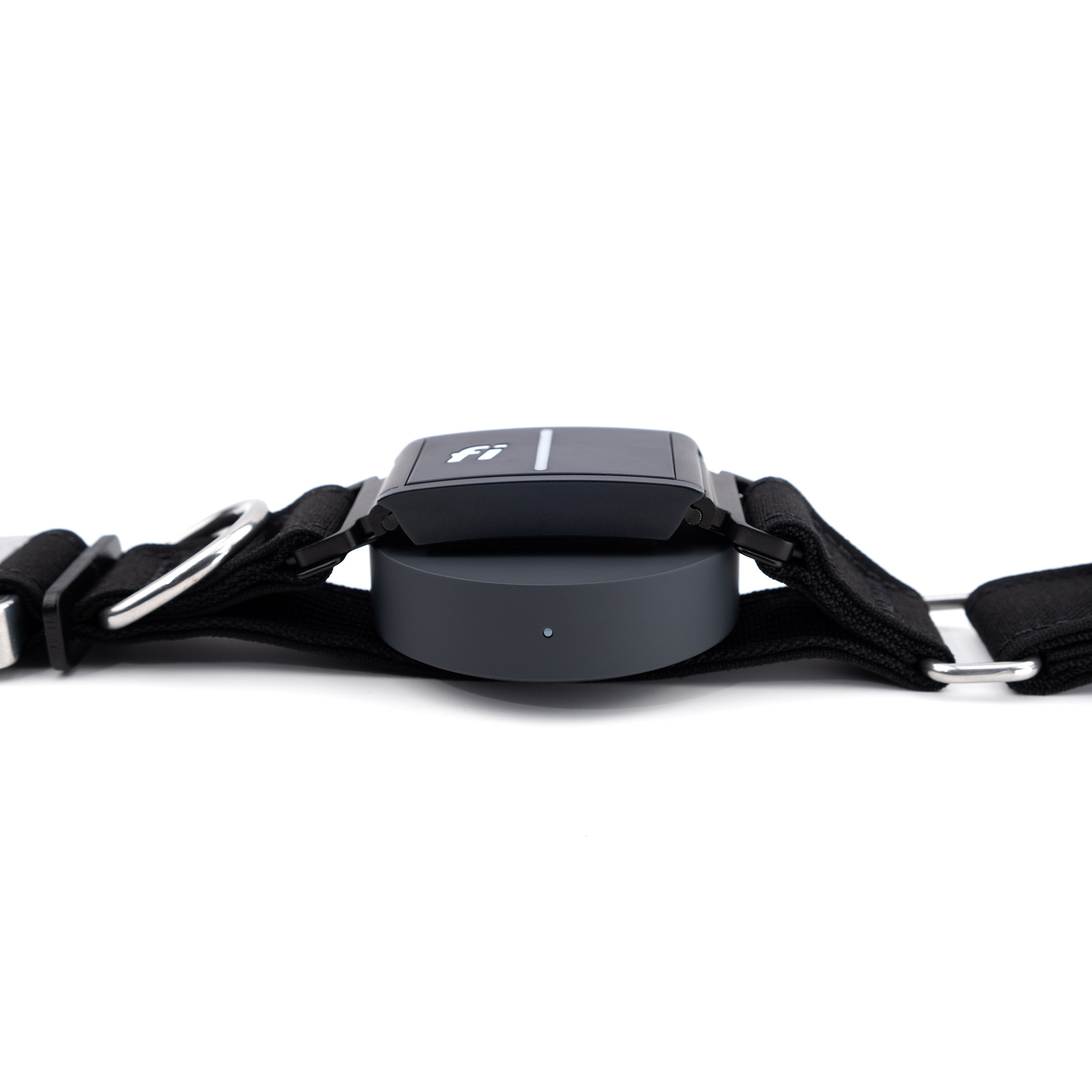 Fi Series 3/3+ Ready Cobra Odin Collar