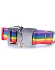 COBRA Collar Rainbow