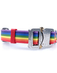 COBRA Collar Rainbow