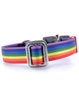 COBRA Collar Rainbow