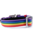 COBRA Collar Rainbow