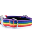 COBRA Collar Rainbow