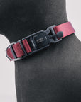 VBuckle Collar Burgundy