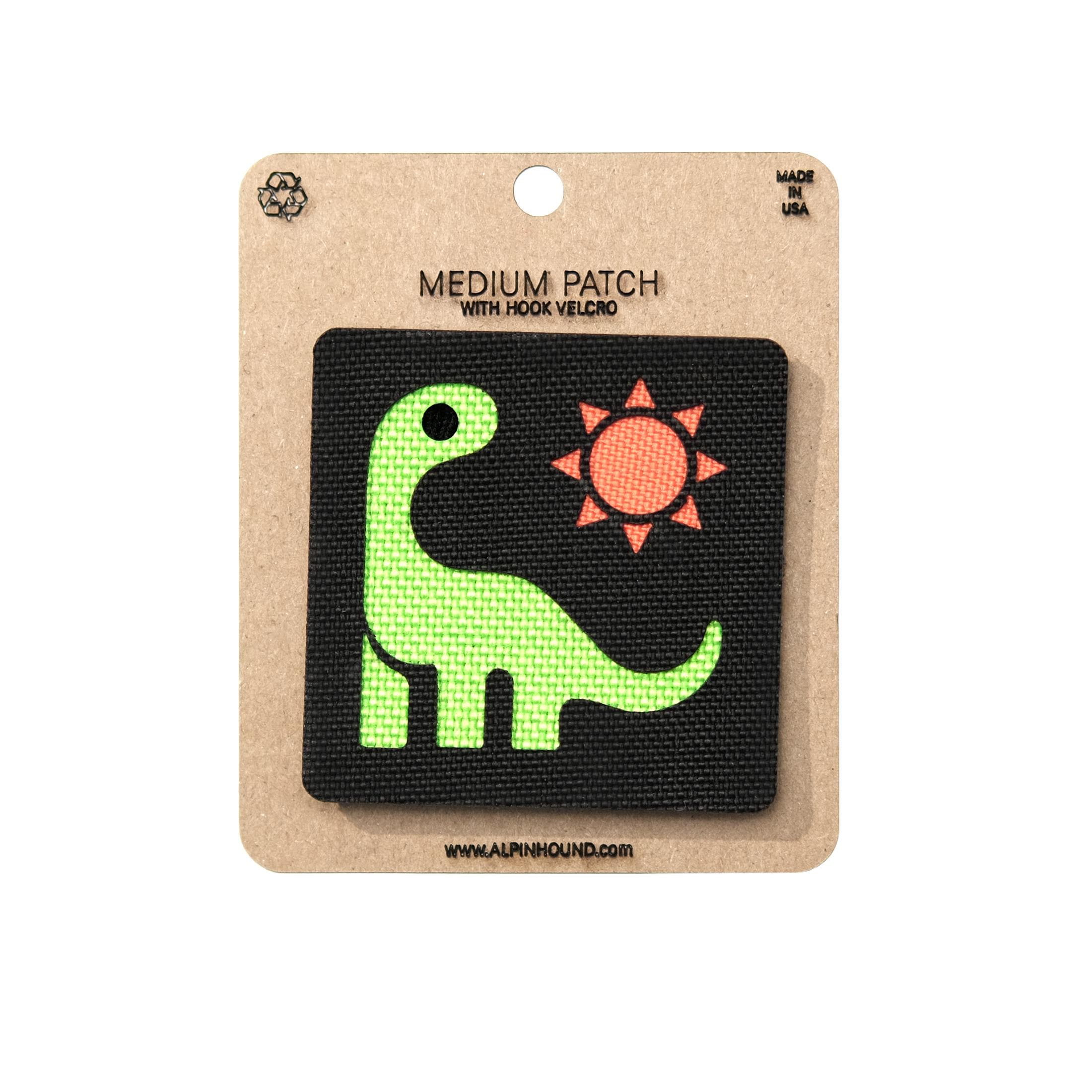 Dinosaur in the Sun Tactical Patch 2X2