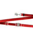 COBRA® Buckle Leash
