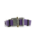 COBRA Biothane Collar Violet