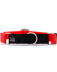 STNDRD Martingale Black and Bright Red