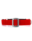 STNDRD Martingale Black and Bright Red