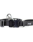 COBRA® Buckle Leash - Alpinhound Pet Co.