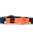 STNDRD Martingale Bright Orange and Navy