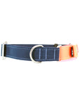 STNDRD Martingale Bright Orange and Navy