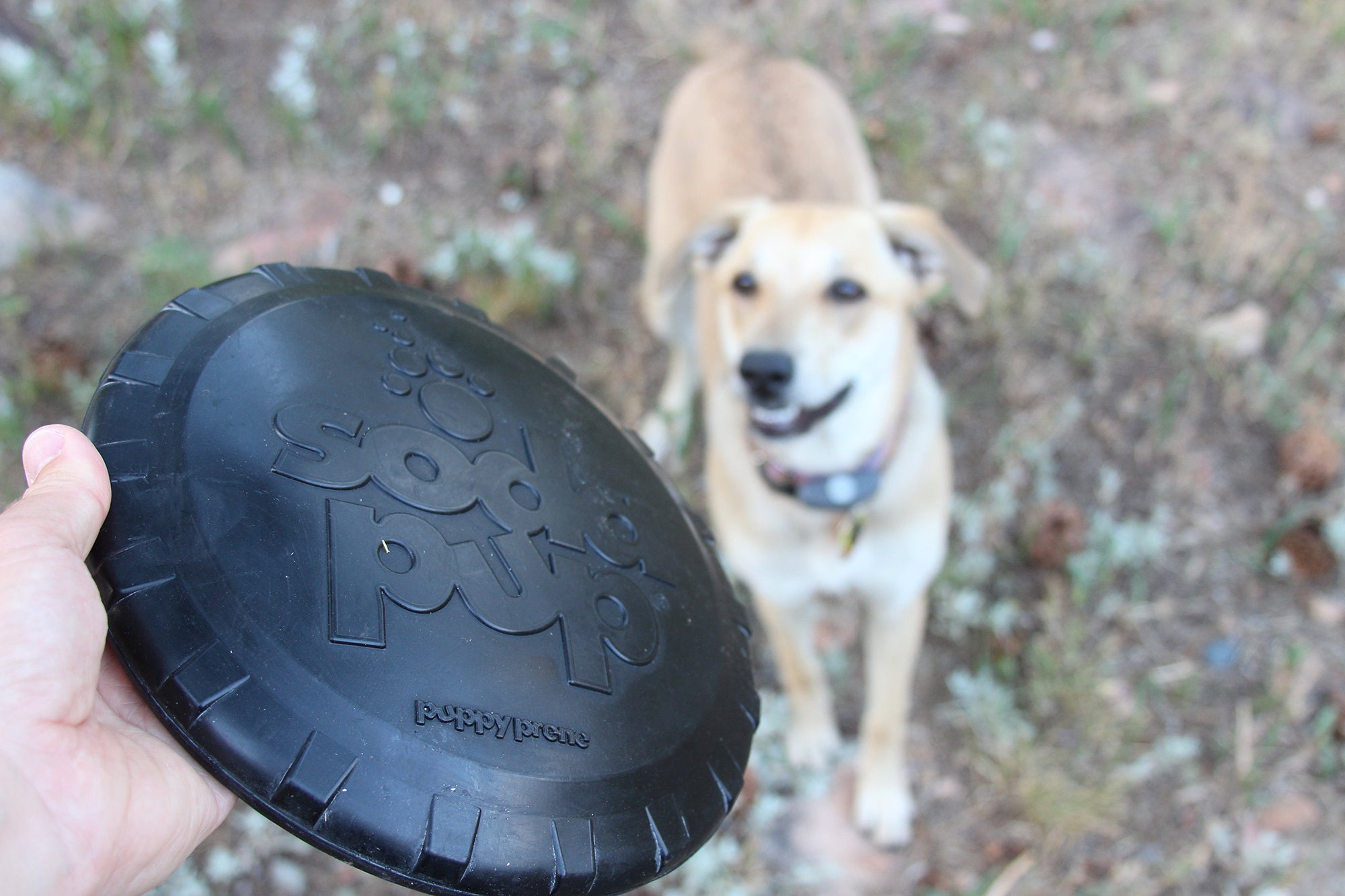 SP Magnum Bottle Top Flyer Ultra Durable Rubber Retrieving Frisbee - Large - Black