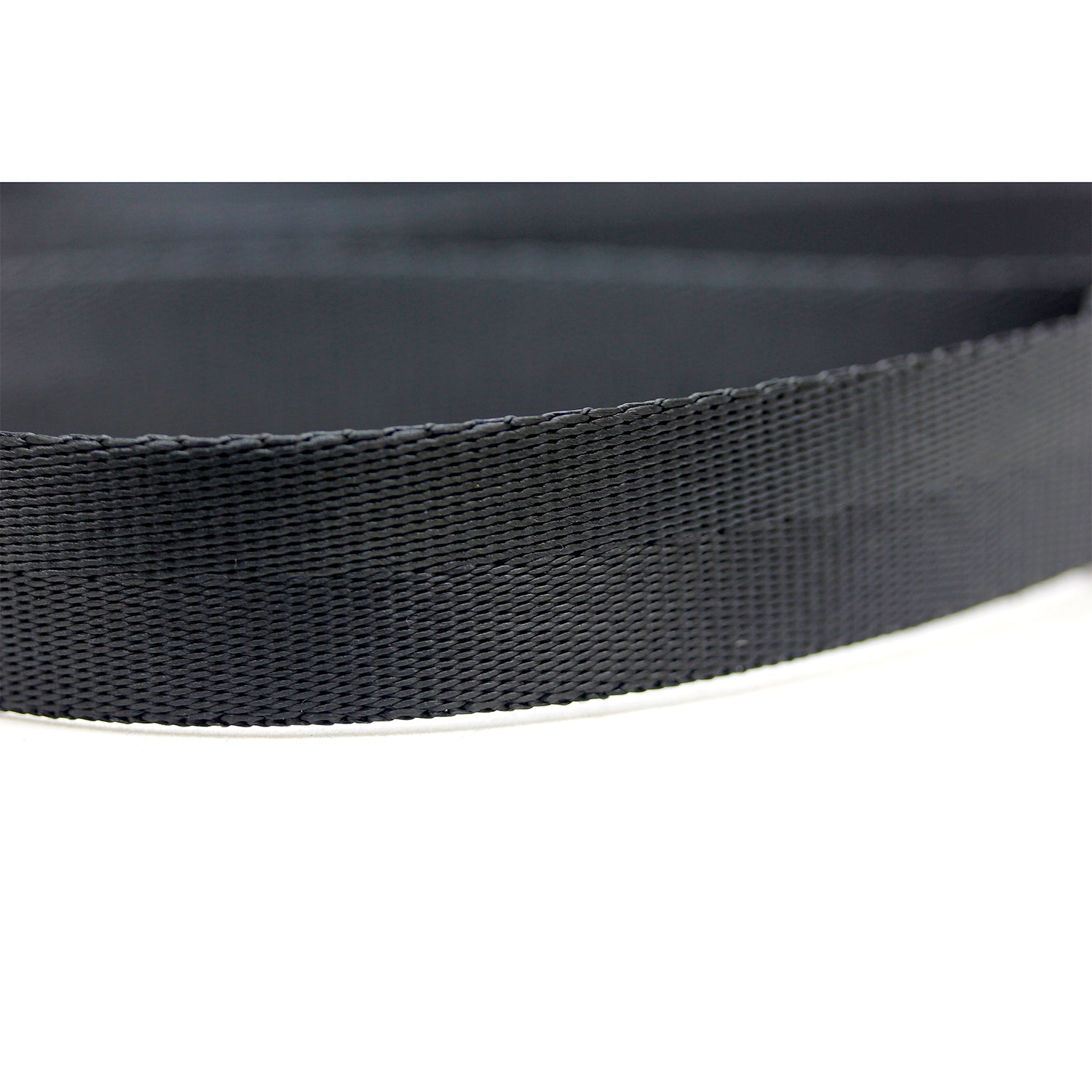 CP Belt Foliage