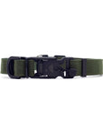 VBuckle Cordura Collar Olive Drab