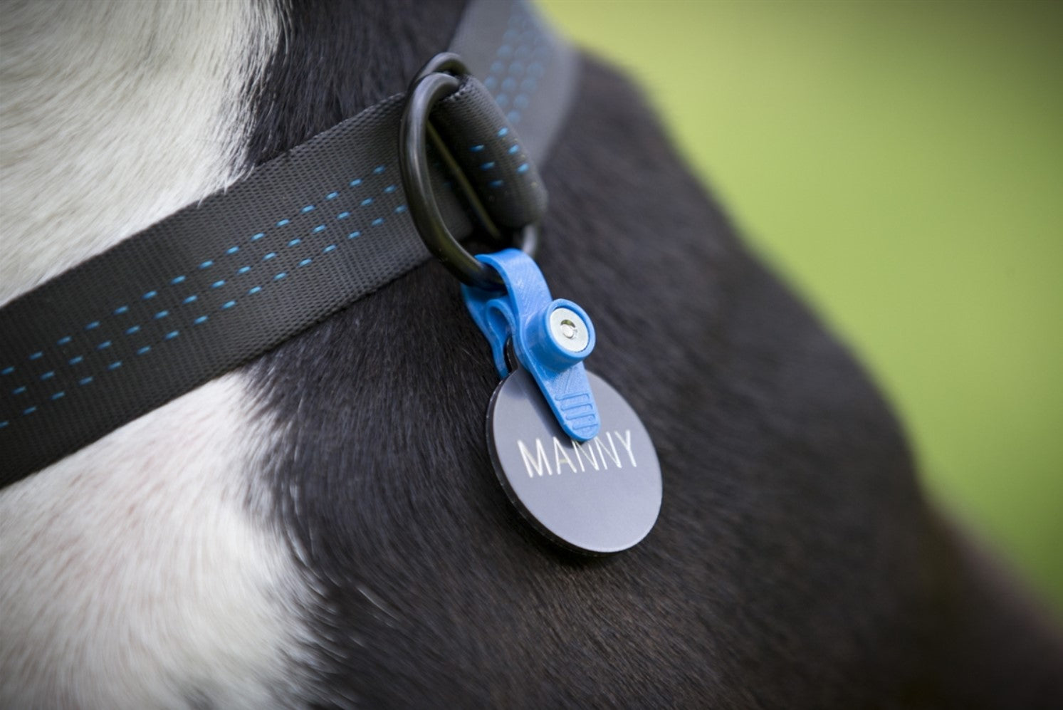 FreezeTag - Alpinhound Pet Co.