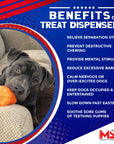 MKB Jack O' Lantern Rubber Chew Toy & Treat Dispenser