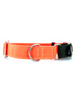 STNDRD Martingale Olive and Bright Orange