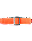 STNDRD Martingale Olive and Bright Orange