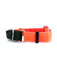 STNDRD Martingale Olive and Bright Orange
