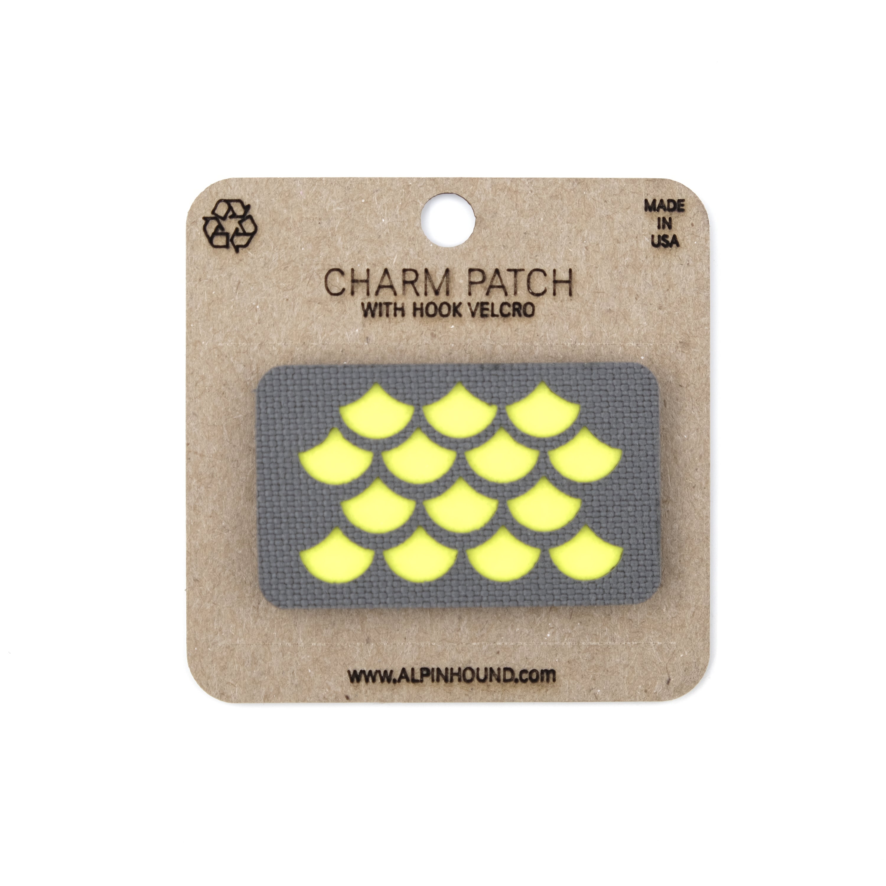 Scales Charm Patch 1X1.5
