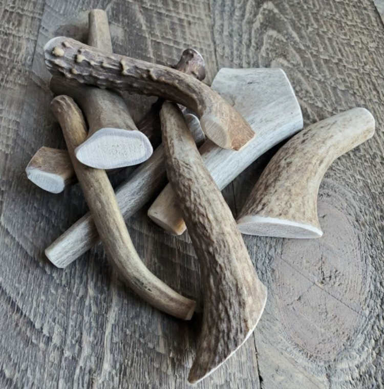 Small Elk/Deer Antler Dog Chew