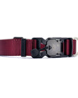 VBuckle Collar Burgundy