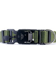 VBuckle Collar Olive Drab