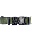 VBuckle Collar Olive Drab