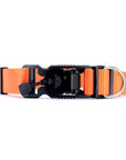 VBuckle Collar Orange