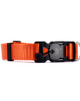 VBuckle Collar Orange
