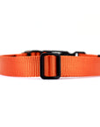 VBuckle Collar Orange
