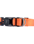 VBuckle Collar Orange