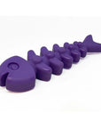 Fish Bone Ultra Durable Nylon Chew Toy