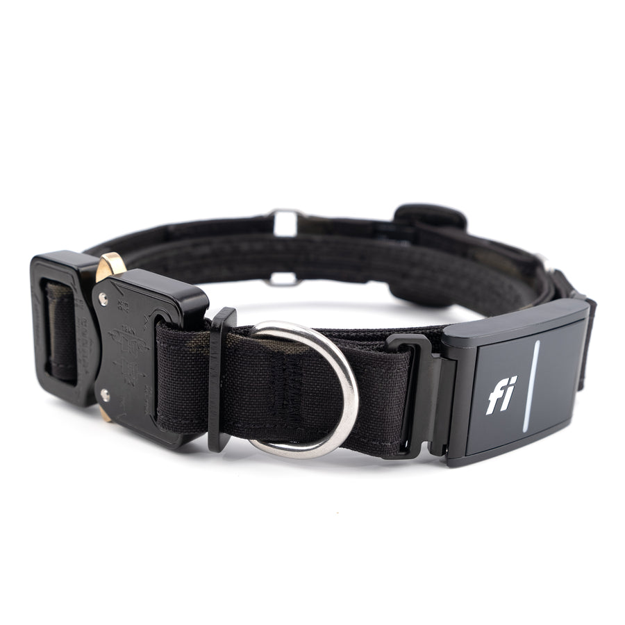Fi 3 Ready Cobra Odin Collar