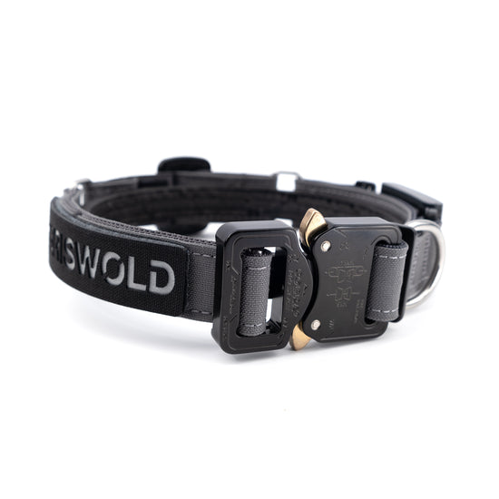 Fi Series 3/3+ Ready Cobra Odin Collar