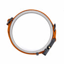 Cobra Classic Collar