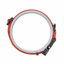 Cobra Classic Collar