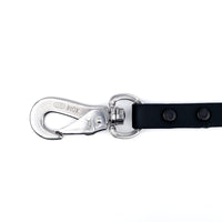Biothane Leash