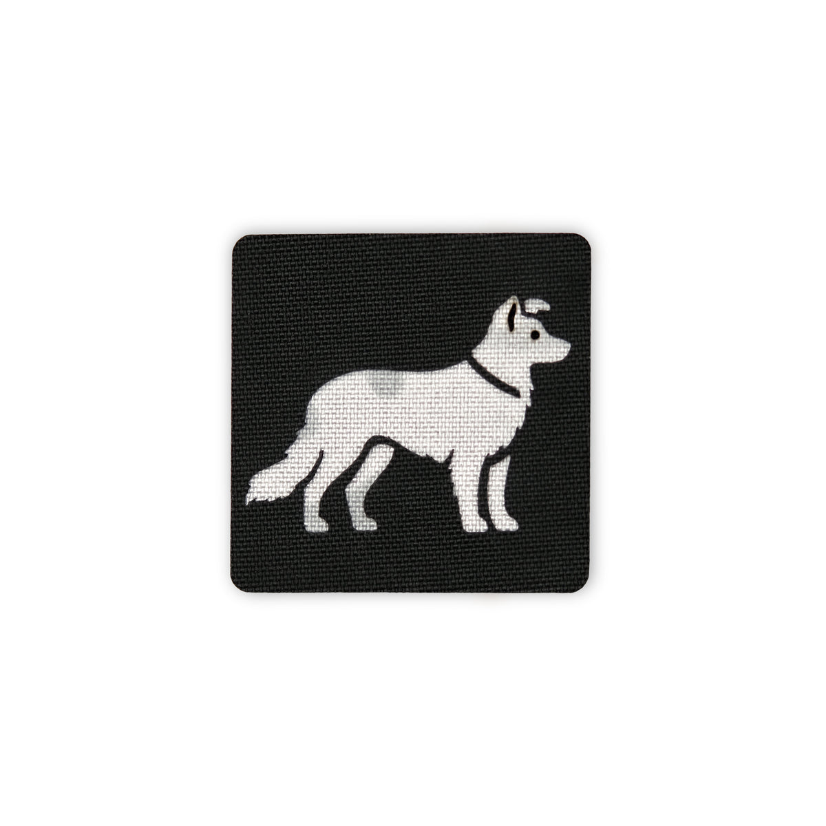 Border Collie 2x2 Cordura Tactical Patch – Hook Back